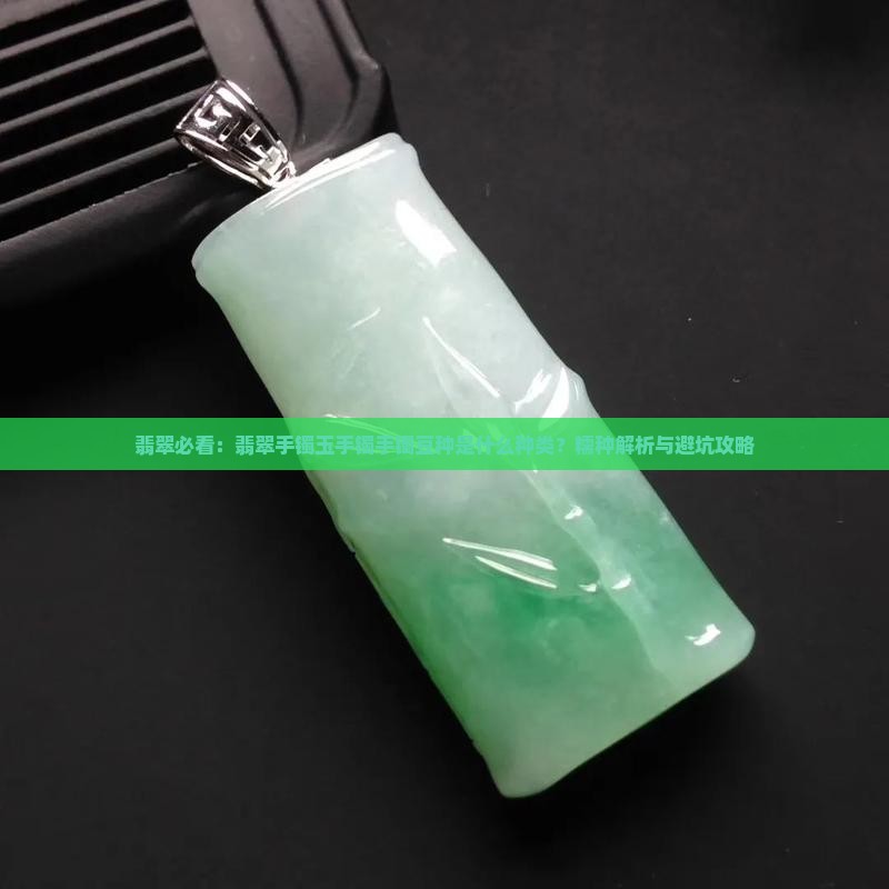 翡翠玉镯豆种是什么样的