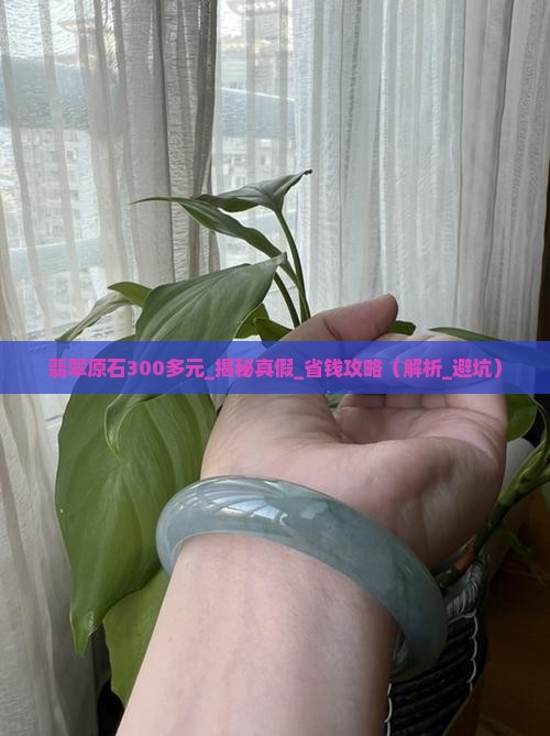 翡翠原石300多元