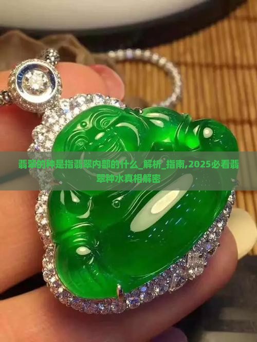 翡翠的种是指翡翠内部的什么