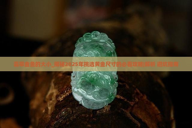 翡翠金鱼的大小