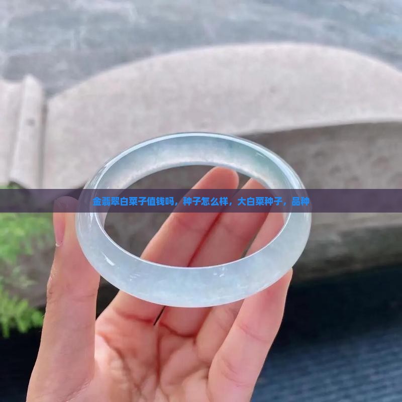 金翡翠白菜子