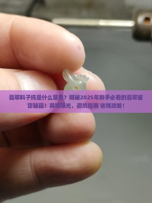 翡翠料子纯是什么意思
