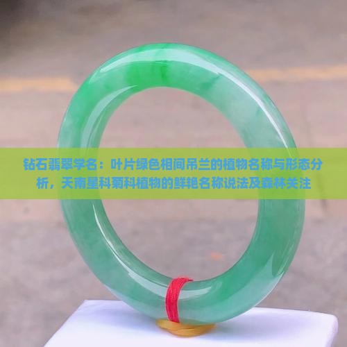 钻石翡翠学名