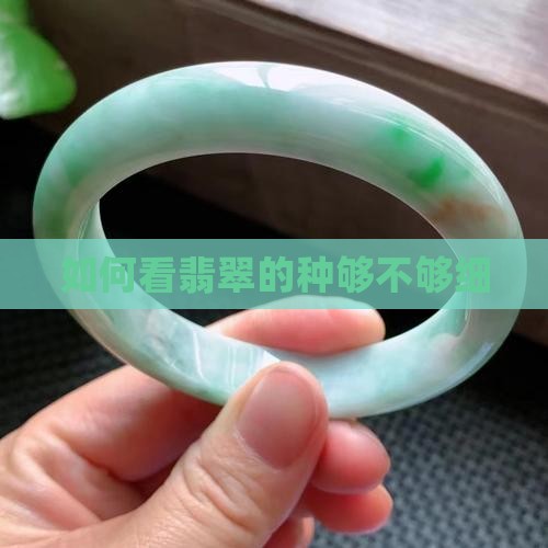 如何看翡翠的种够不够细