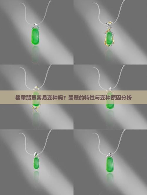 棉重翡翠容易变种吗