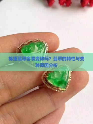 棉重翡翠容易变种吗