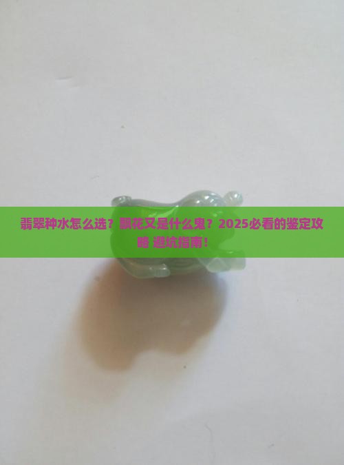 翡翠种水等级与飘花划分