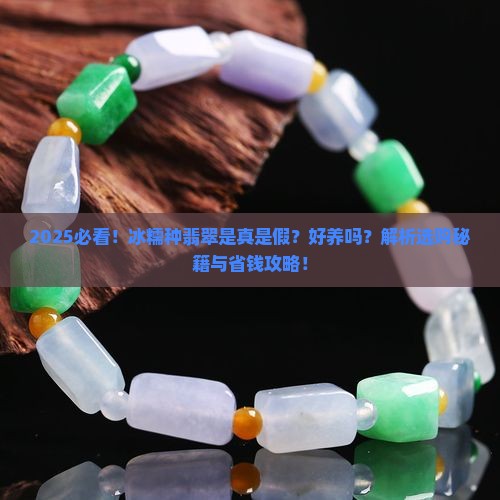 冰糯种翡翠吗好养吗