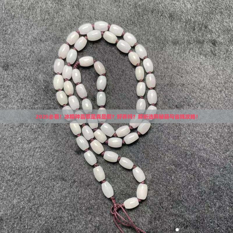冰糯种翡翠吗好养吗