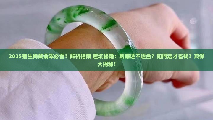 猪生肖戴翡翠好不好
