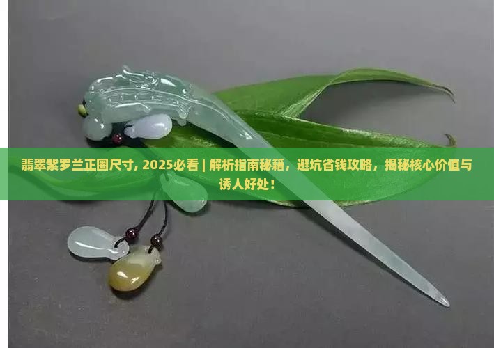 翡翠紫罗兰正圈尺寸