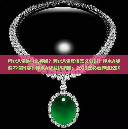 种水A货是什么等级