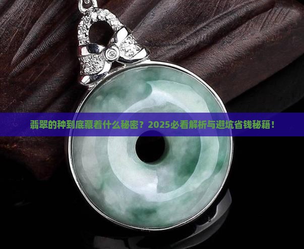翡翠种是什么意思