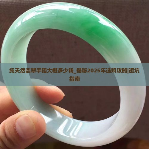 纯天然翡翠手镯大概多少钱