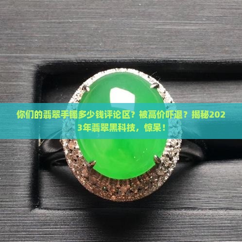 你们的翡翠手镯多少钱评论区
