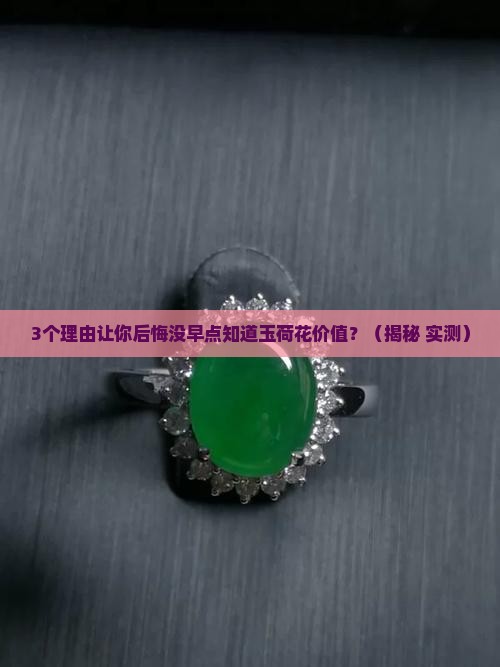 玉荷花价值