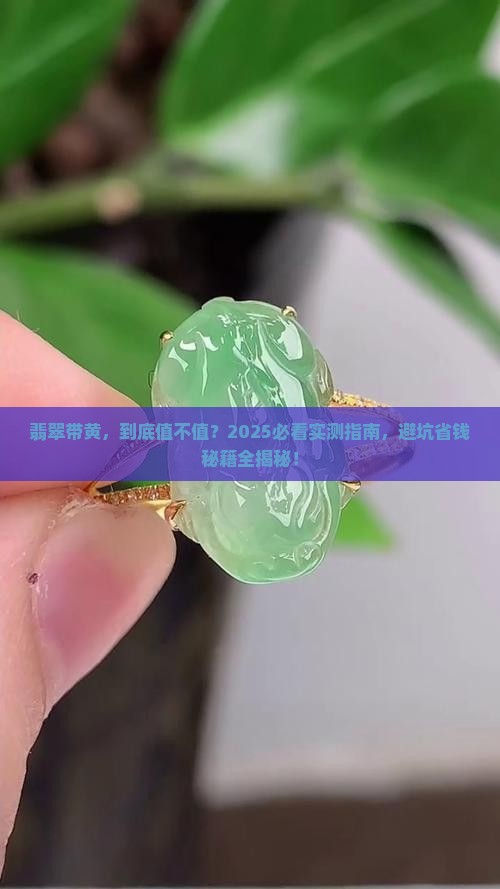 翡翠带黄的好不好