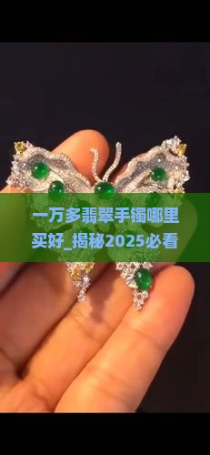 一万多翡翠手镯哪里买好