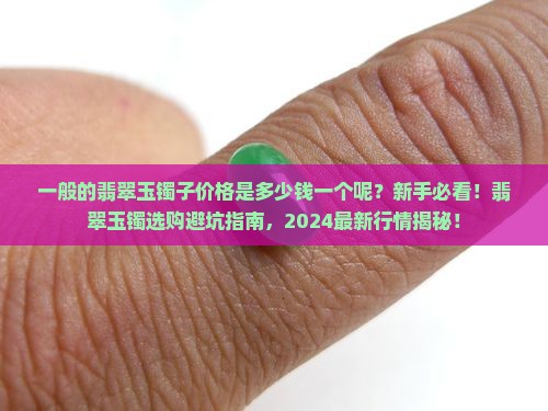一般的翡翠玉镯子价格是多少钱一个呢