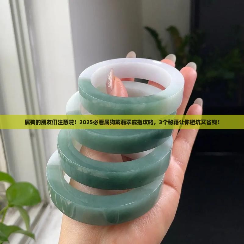 属狗戴什么翡翠戒指