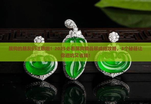 属狗戴什么翡翠戒指