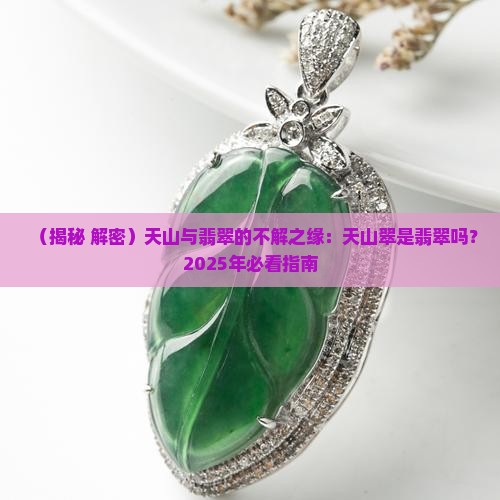天山翠属于翡翠嘛