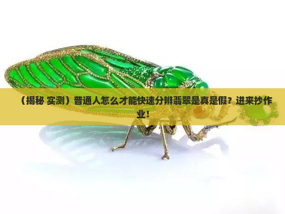 怎么才能知道翡翠是真的假的 怎么才能知道翡翠是真的假的