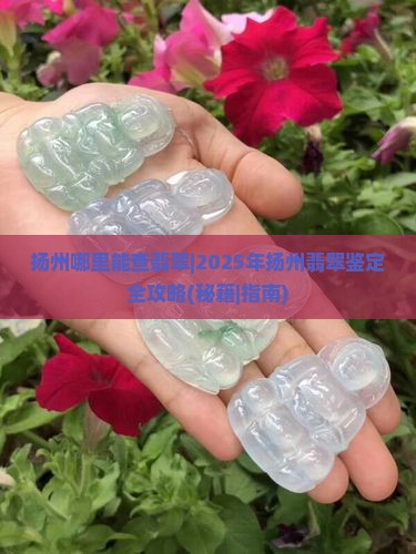 扬州哪里能查翡翠