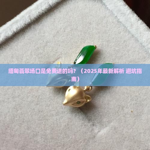 缅甸翡翠场口是免费进的吗