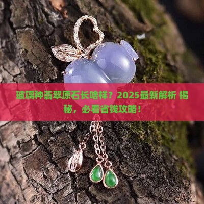 玻璃种翡翠原石的基本特征是哪些