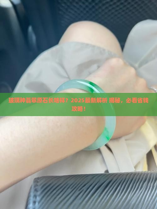 玻璃种翡翠原石的基本特征是哪些