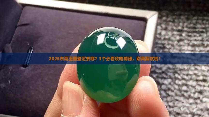 东莞有没有鉴定玉的地方在哪里 东莞有没有鉴定玉的地方在哪里