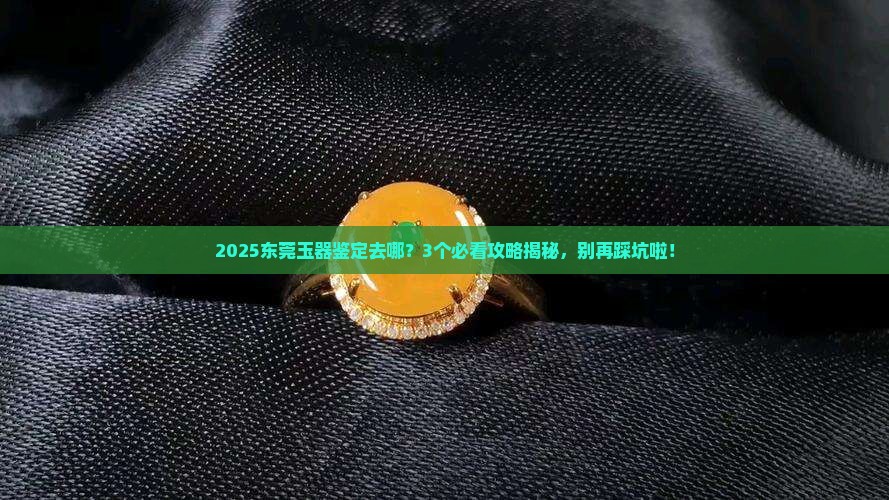 东莞有没有鉴定玉的地方在哪里 东莞有没有鉴定玉的地方在哪里