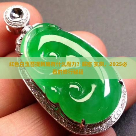 红色白玉菩提