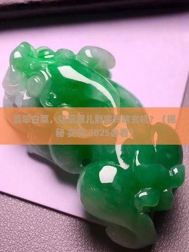 一块翡翠白菜