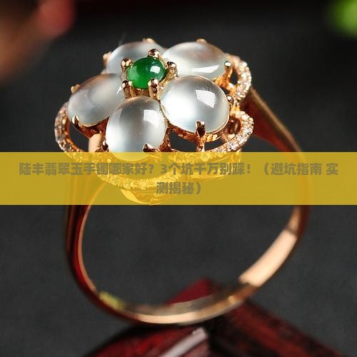 陆丰翡翠玉手镯哪家好