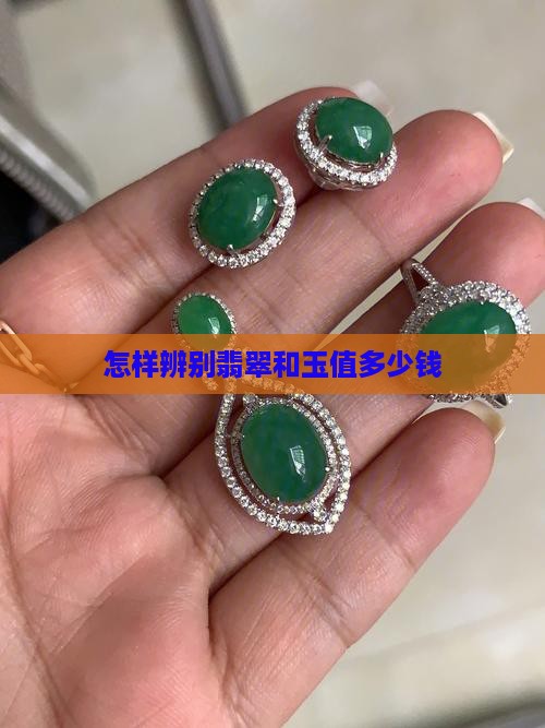 怎样辨别翡翠和玉值多少钱
