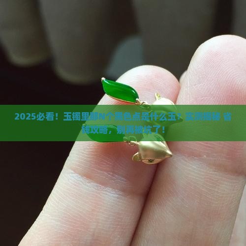 玉镯里面有很多黑色点是什么玉