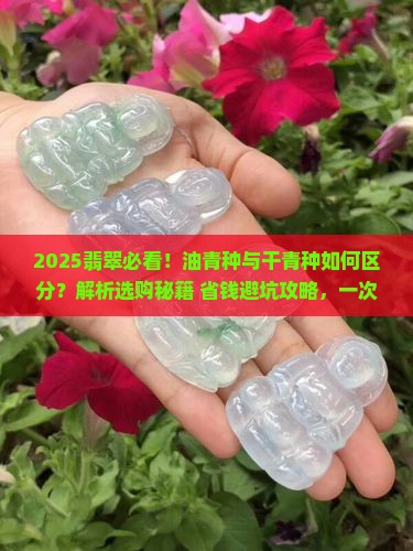 油青种翡翠与干青种的区别