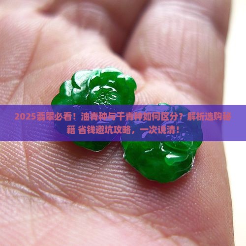 油青种翡翠与干青种的区别