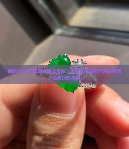 翡翠晴水佛公