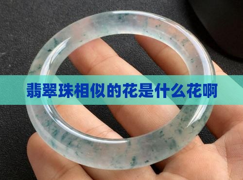 翡翠珠相似的花是什么花啊