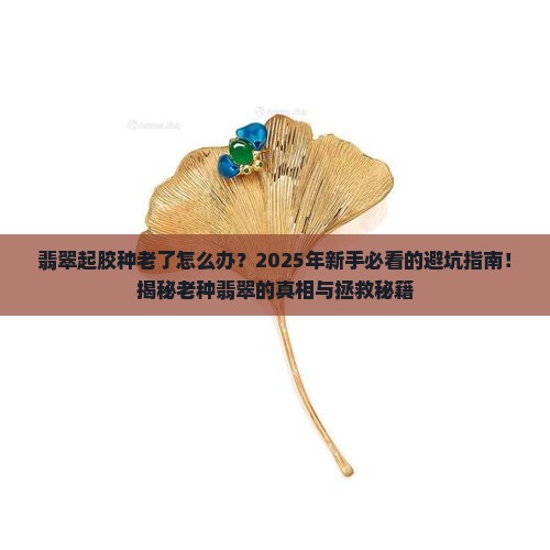 翡翠起胶种老了怎么办