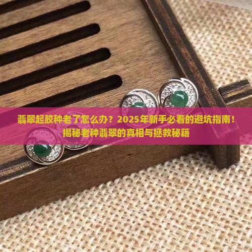 翡翠起胶种老了怎么办