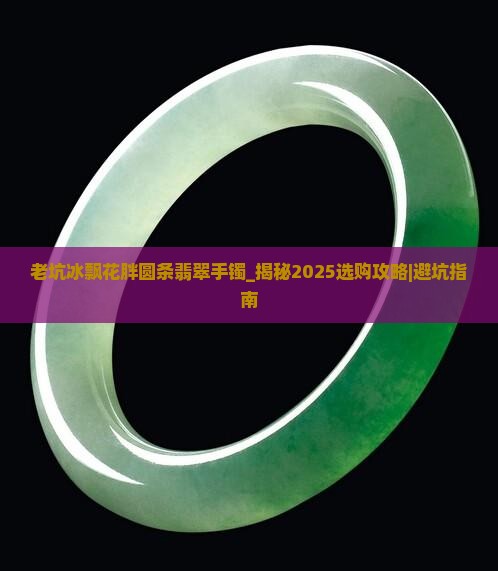 老坑冰飘花胖圆条翡翠手镯 老坑冰飘花胖圆条翡翠手镯