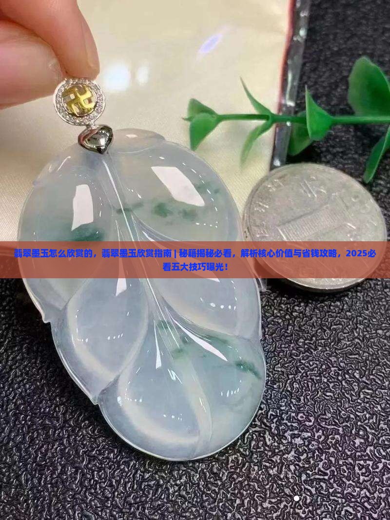 翡翠墨玉怎么欣赏的