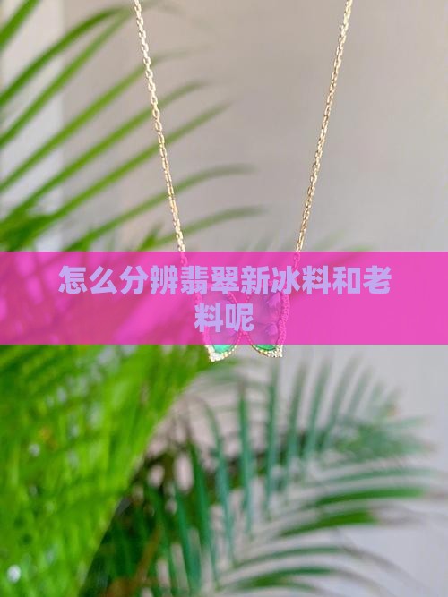 怎么分辨翡翠新冰料和老料呢