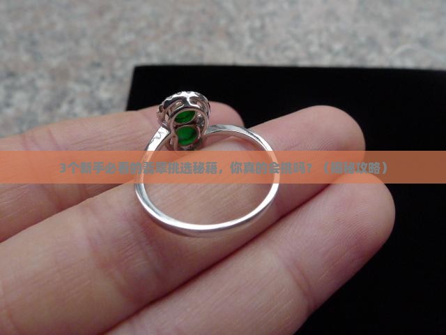 翡翠糯冰晴飘绿花