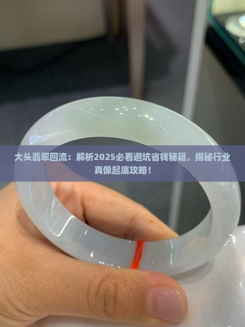 大头翡翠回流