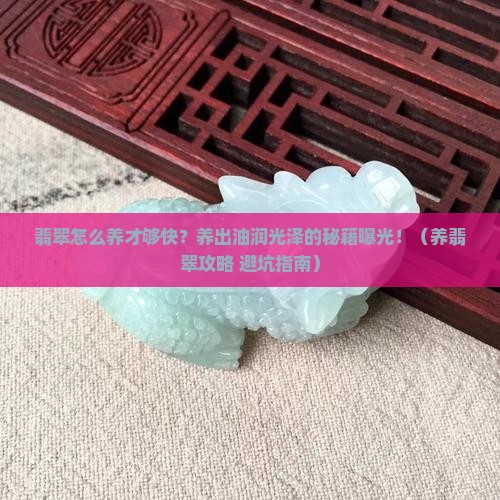 翡翠如何养得快